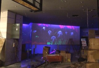 水母世界隐形壁画手绘